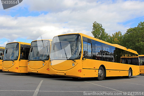 Image of Three Smiling City Buses