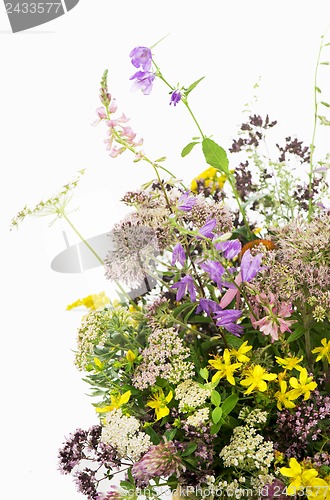 Image of Bouquet of medicinal herbs