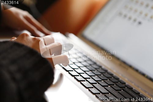 Image of Young woman working on laptop