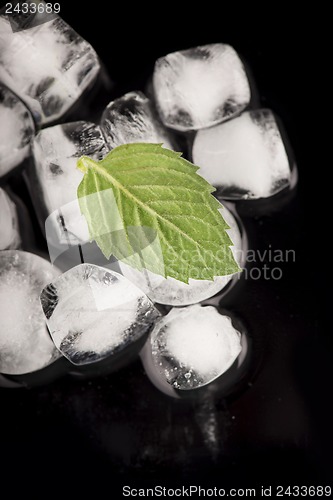 Image of Ice cubes isolated on black