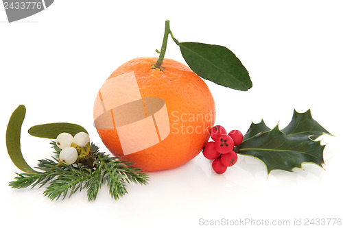 Image of Christmas Fruit