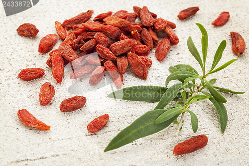 Image of goji berry with a leaf