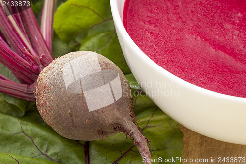 Image of red beet cream soup