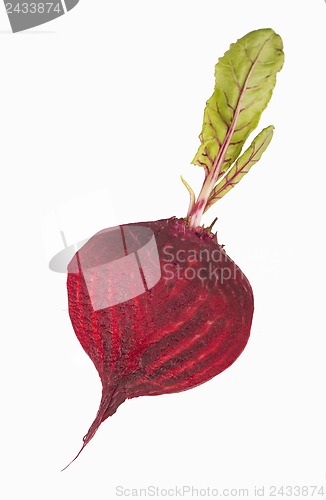 Image of beet peeled of a peel