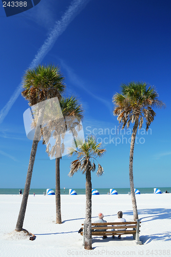 Image of Beach Scene with Palms