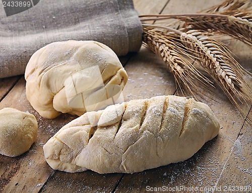 Image of fresh dough