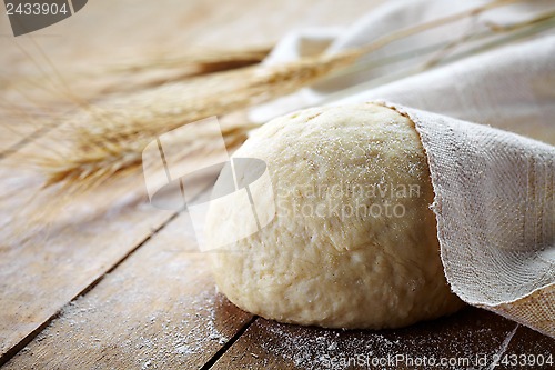 Image of fresh dough