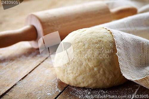 Image of fresh dough