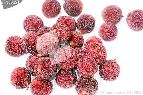 Image of Red bayberry fruits