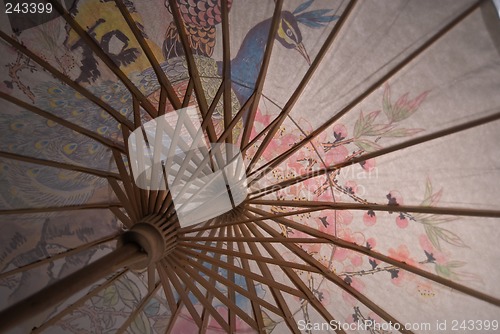 Image of Paper Parasol From Underneath