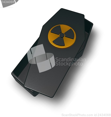 Image of nuclear coffin