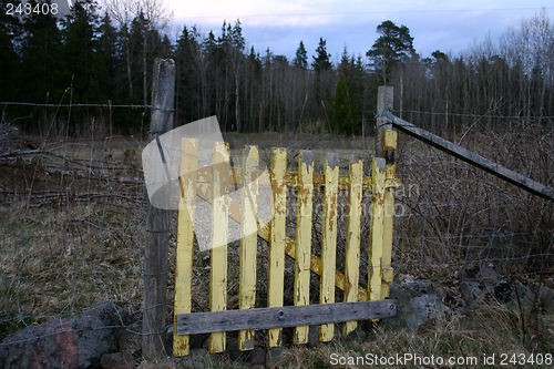 Image of Yellow gate