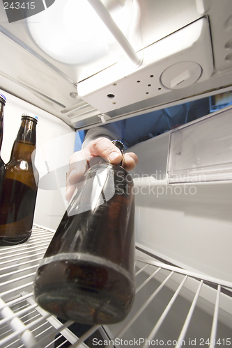 Image of Beer fridge