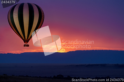 Image of Balloon safari