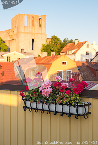 Image of Geraniums decorating a balcony in Visby, Sweden