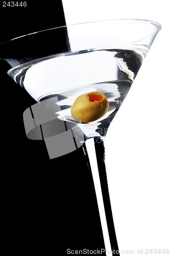 Image of Contrast Martini