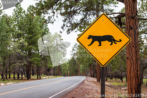 Image of Grand Canyon Road