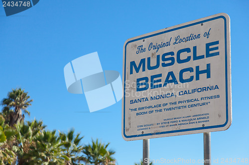 Image of Muscle Beach