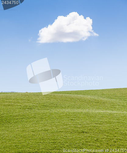 Image of Green field in Tuscany