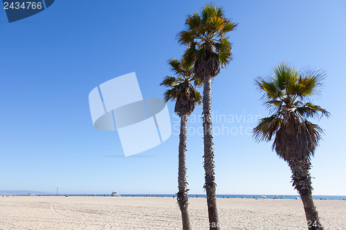 Image of Santa Monica Beach