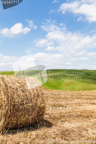 Image of Tuscany agriculture