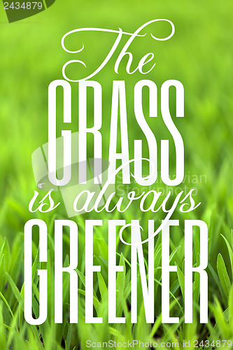 Image of The Grass is Always Greener