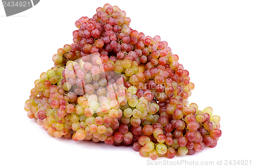 Image of Sultana Grape