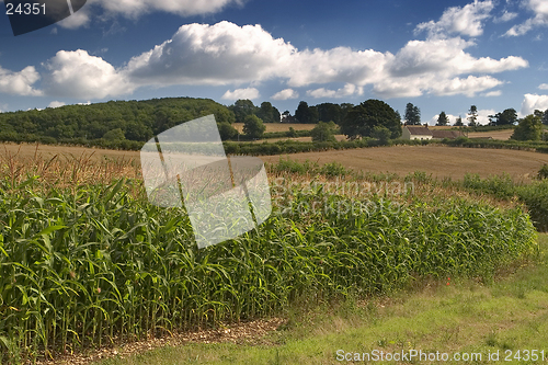 Image of English countryside