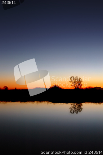 Image of Lone Tree At Sunset
