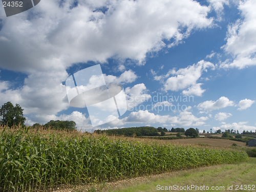 Image of Countryside