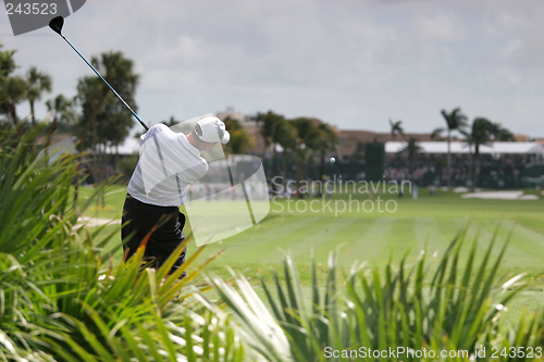 Image of man golf swing in Doral, Miami