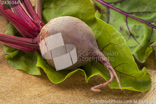 Image of red beets