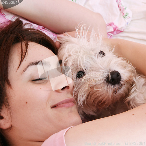 Image of Dog sleeping on bed 