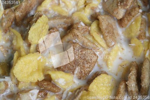 Image of Crunchy breakfast cereals.