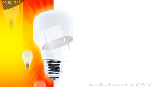 Image of White bulb