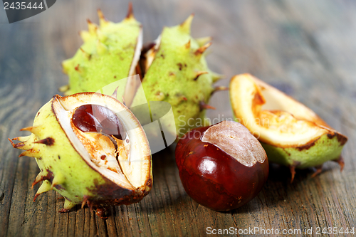 Image of Ripe chestnuts.