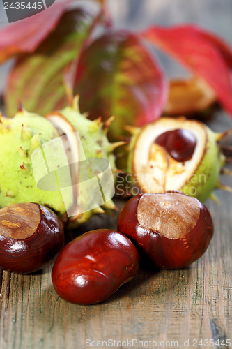 Image of Chestnuts and autumn leaves.