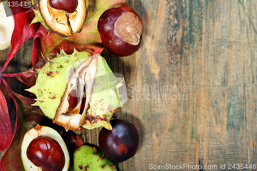 Image of Autumn leaves and horse chestnut.