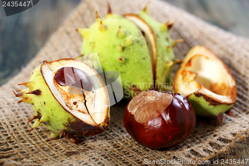 Image of Chestnuts.