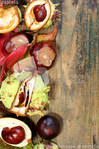 Image of Horse chestnut and red leaves.