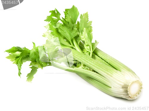 Image of fresh celery