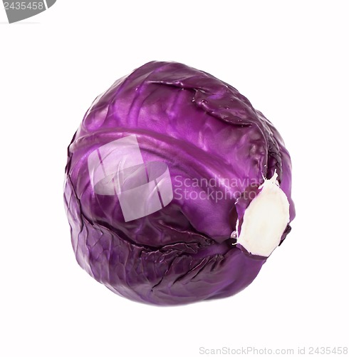 Image of fresh red cabbage