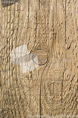 Image of wooden texture