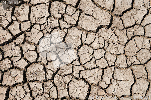 Image of dry earth texture