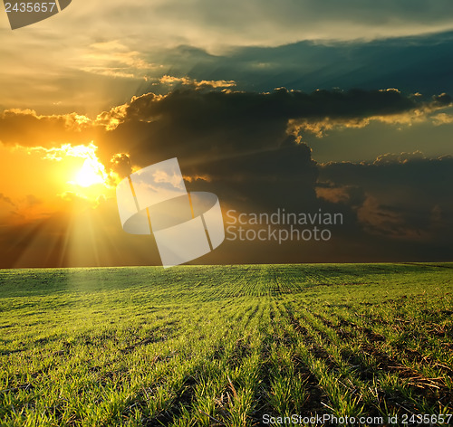 Image of sunset over green field