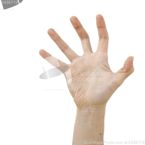 Image of Hand isolated on white