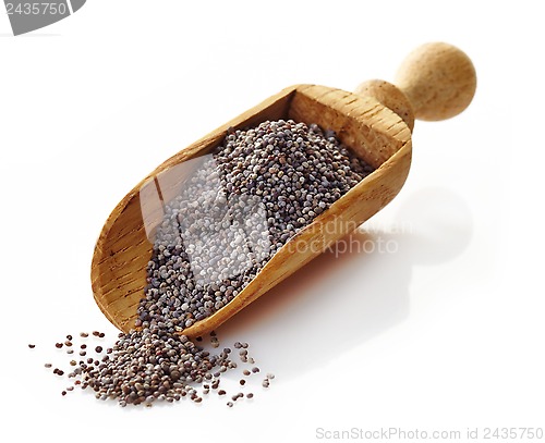 Image of wooden scoop with poppy seeds