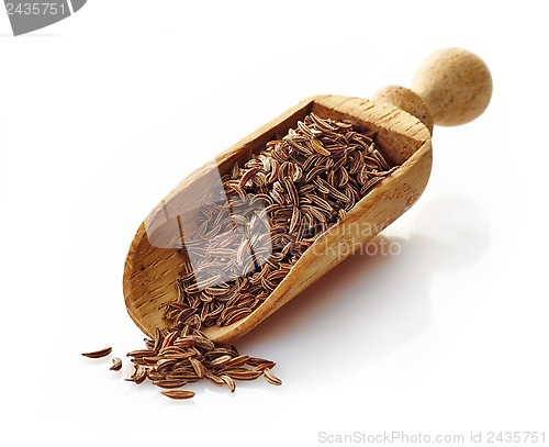 Image of wooden scoop with cumin