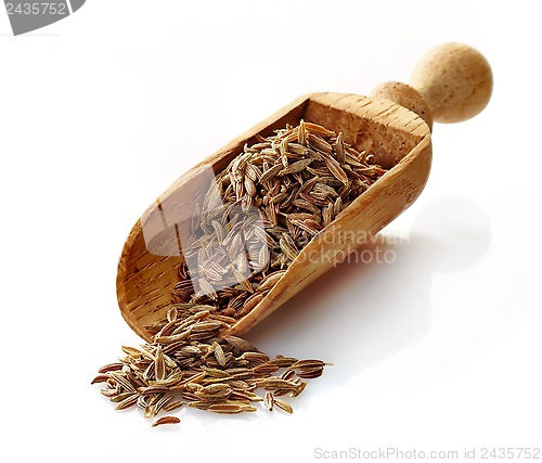 Image of wooden scoop with cumin