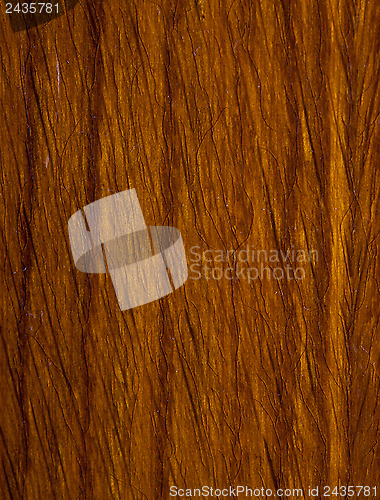 Image of Wood texture with the old cracked varnish surface